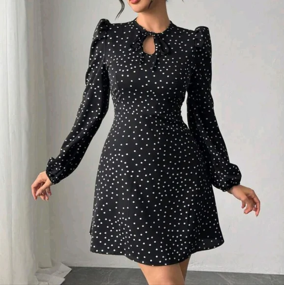 Women's Elegant Polka Dot Print Bow-Tie Waist Long Sleeve Dress - Picture 2 of 3